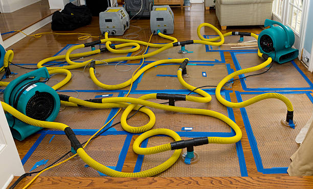 Professional Basement Flood Cleanup technician working in Blauvelt, NY